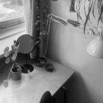 Het bureau, de plantjes en twee keer thuis